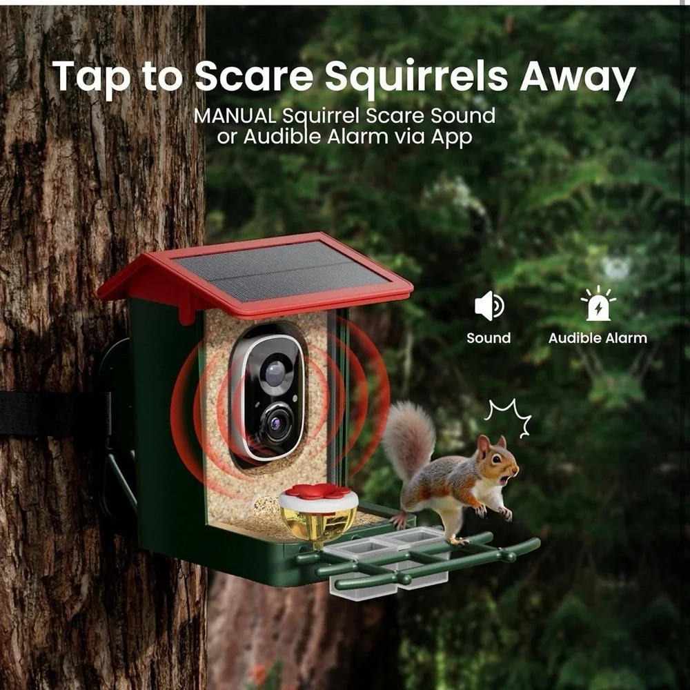 Smart Bird Feeder with Camera Solar Powered, 2K HD Video, AI Bird Species Identi